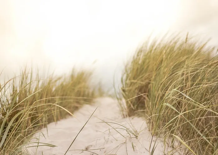 Avec Balcon Et Parking A 2 Pas De La - Fr-1-652-56 *